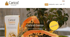 Desktop Screenshot of caricol.com
