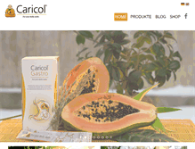 Tablet Screenshot of caricol.com
